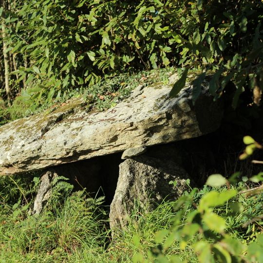 Dolmen de Goalichot