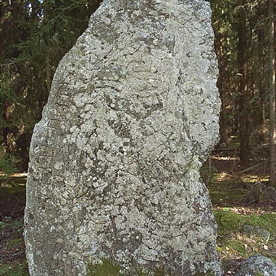 Uppland Runic Inscription 690