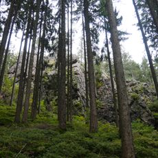 Hirzwald-Lägerfelsen