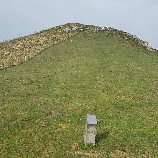 Arriurdiñetako lepoa