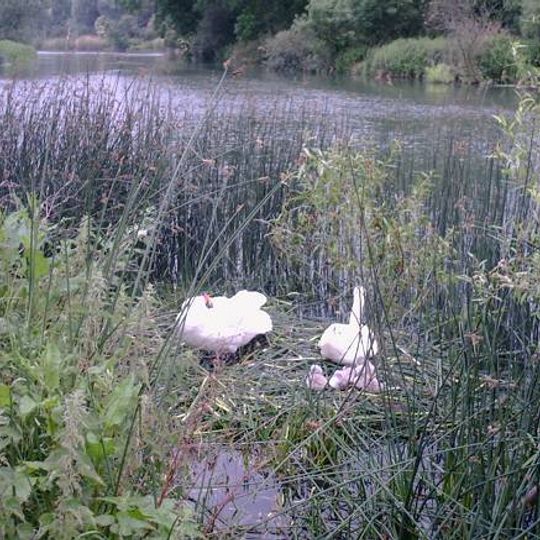 Ouse Valley Way