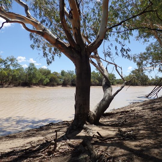 Nocoleche Nature Reserve