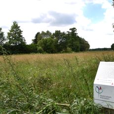Kammereckswiesen und Herchwiesen von Langen