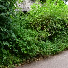 Limekiln About 170 Metres South East Of Bow Bridge