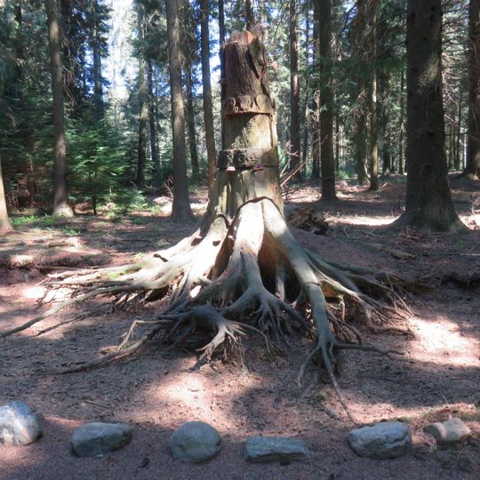 Artboretum de Mefferscheid