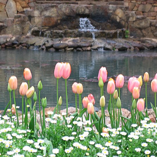 Araluen Botanic Park