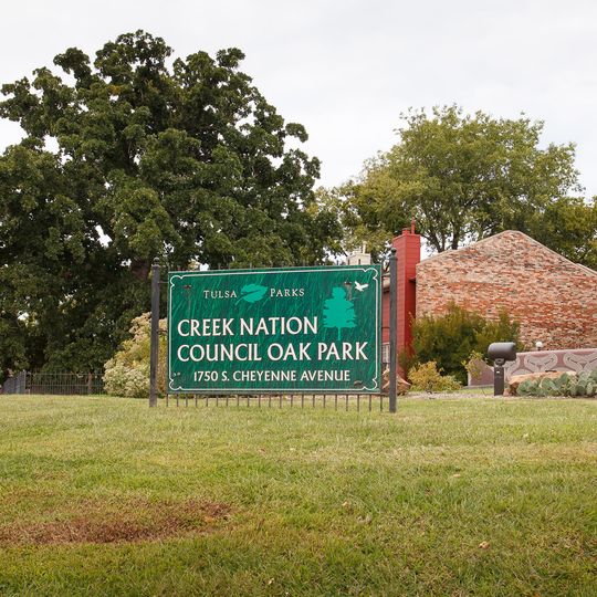 Creek Council Oak Tree