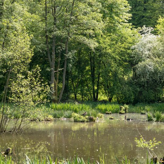 Naturschutzgebiet Wiesentälchen von Beedenkirchen