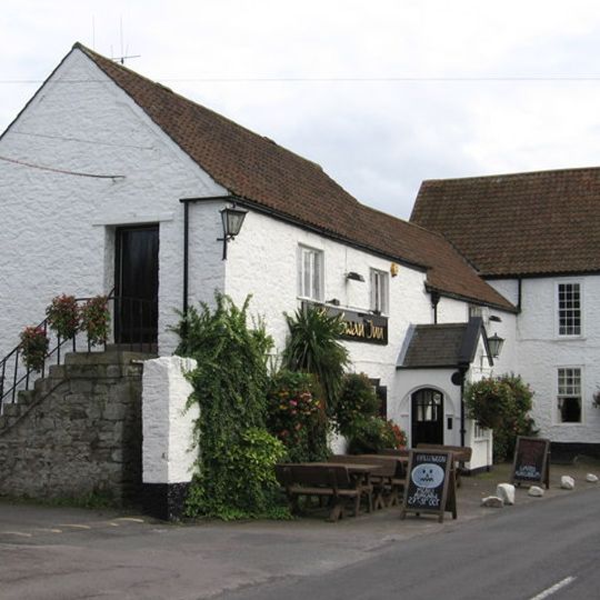 The Swan