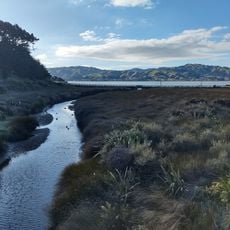 Duck Creek Scenic Reserve