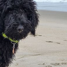 Hunnewell Beach