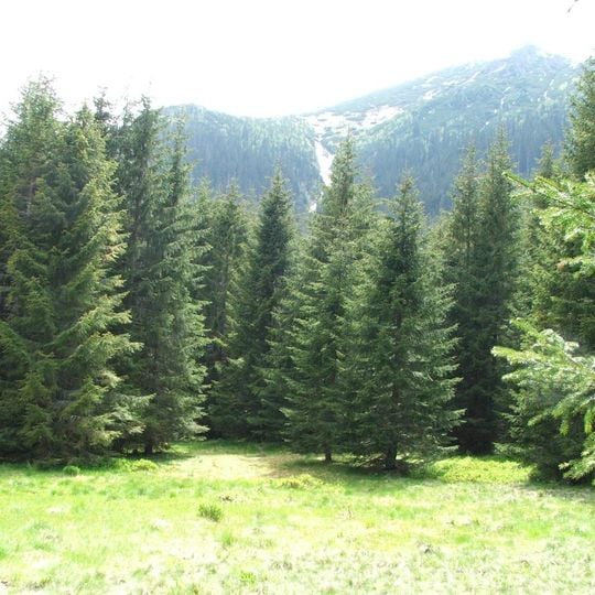 Polana pod Wołoszynem