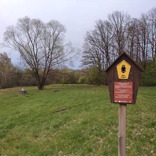 Orchideenwiese am Quellhang