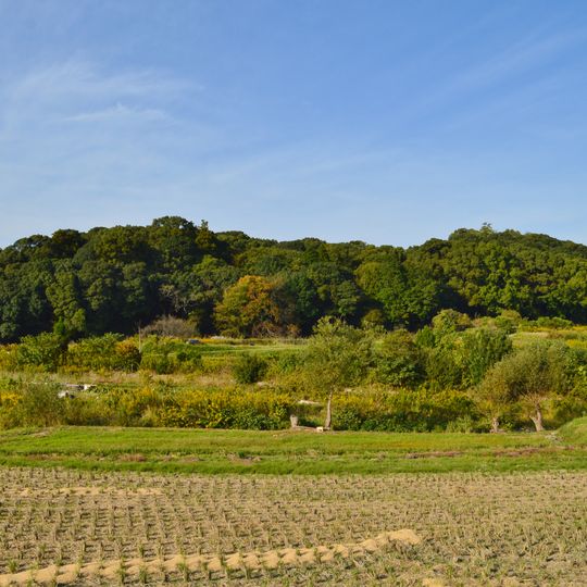 Shibutani Mukaiyama Kofun