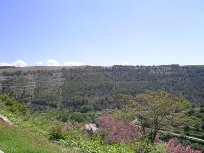 The view 1