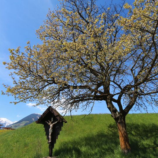 Wegkreuz Untergrinzens