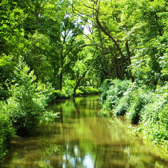 LSG-Obererft, Reuschenberger Busch