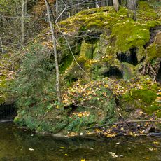 Kalktuffquelle bei Weißenkirchen im Attergau