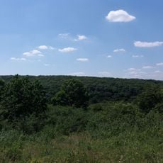 Likarivskyi Botanical Reserve