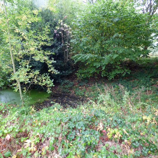 Moated site 140m east of St Mary's Church