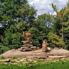 Riverview Park & Zoo