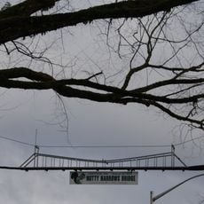 Nutty Narrows Bridge