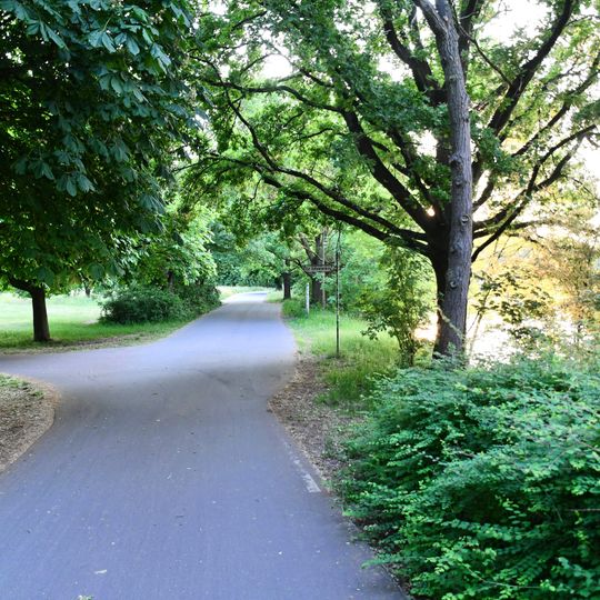 Heinrich-Kollmann-Weg