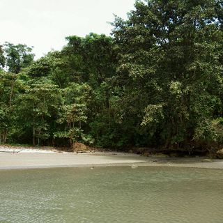 Manglares Cayapas-Mataje Ecological Reserve
