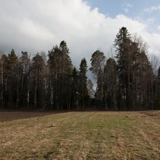 Культовая роща (Новинка)