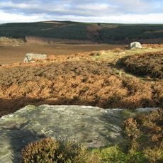 Prehistoric rock art and Runic inscription in Lemmington Wood