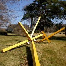 Pin Oak I
