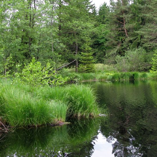 Moore südlich Königsdorf, Rothenrainer Moore und Königsdorfer Alm