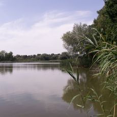 Velký Pavlovický rybník