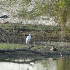 Vellode Birds Sanctuary