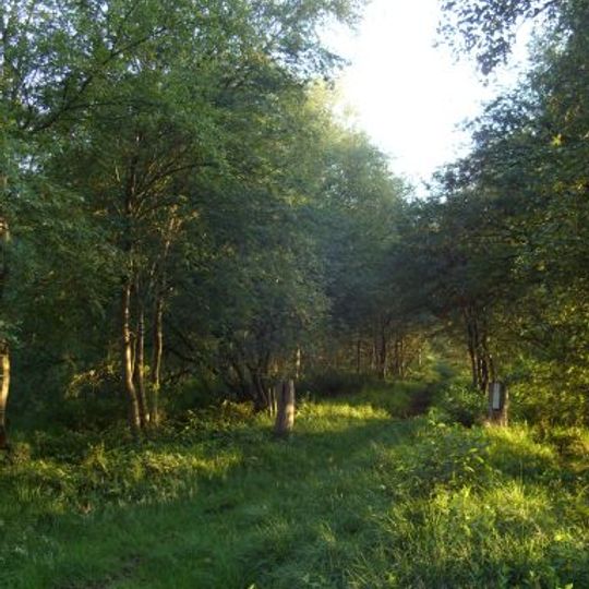 Gellener Torfmöörte mit Rockenmoor und Fuchsberg