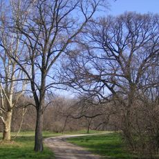 Cicovsky park