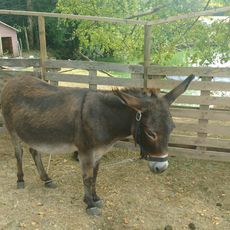 Fermette des Tannières