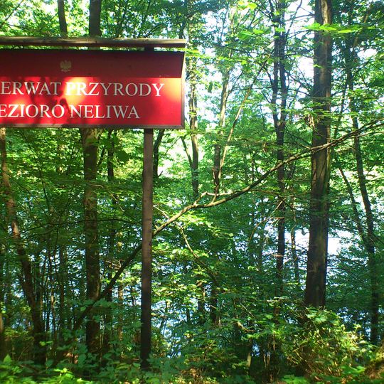 Rezerwat przyrody Jezioro Neliwa