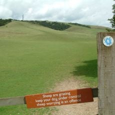Queen Elizabeth Country Park