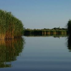 Velencei madárrezervátum