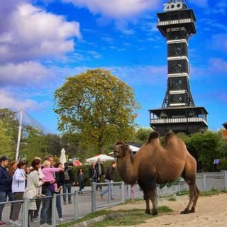 Copenhagen Zoo