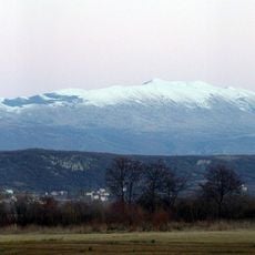 Konj