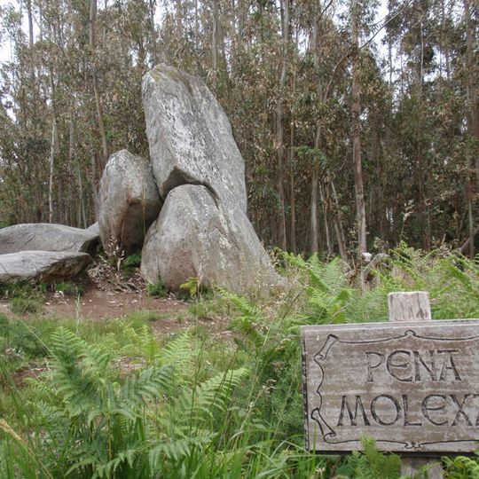 Pena Molexa
