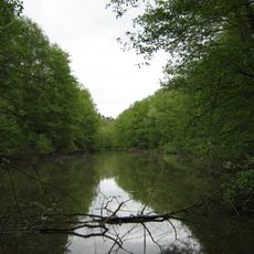 Eckbachweiher