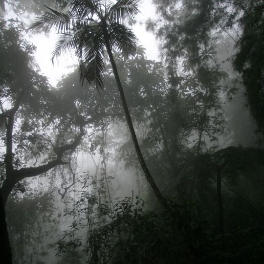 Chicaque Nature Park