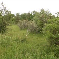 Magerstandorte bei Rosenau