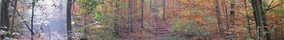 Panoramic View 0