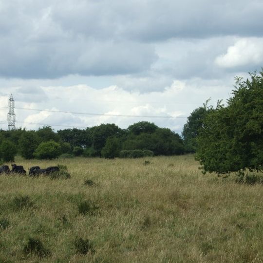 Castor Hanglands National Nature Reserve