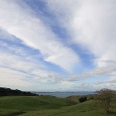 Te Rau Pūriri Regional Park