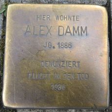 Alex Damm